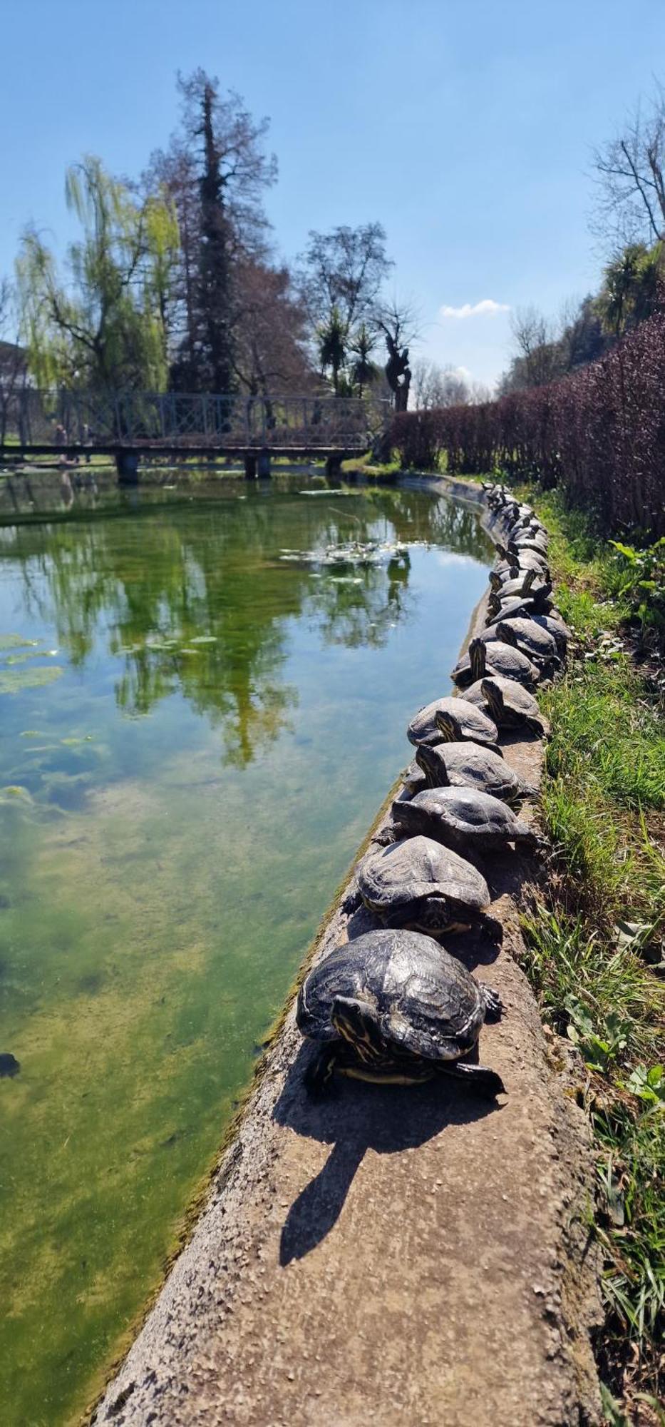 Oasi Daire Roma Dış mekan fotoğraf
